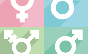 transgender search