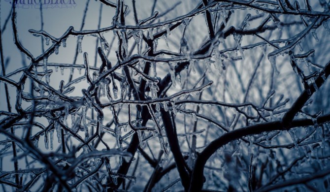 Christmas Ice Storm